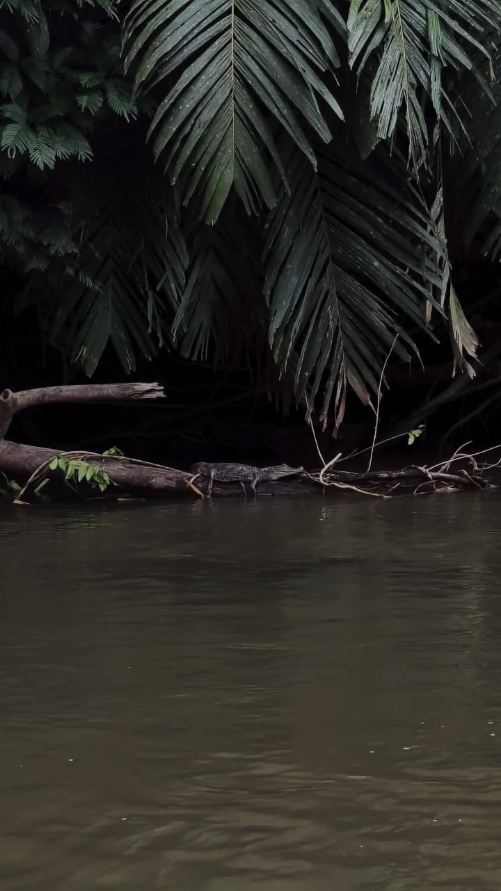 Fotografía de un momento real de un viaje de Aventuras Vargas